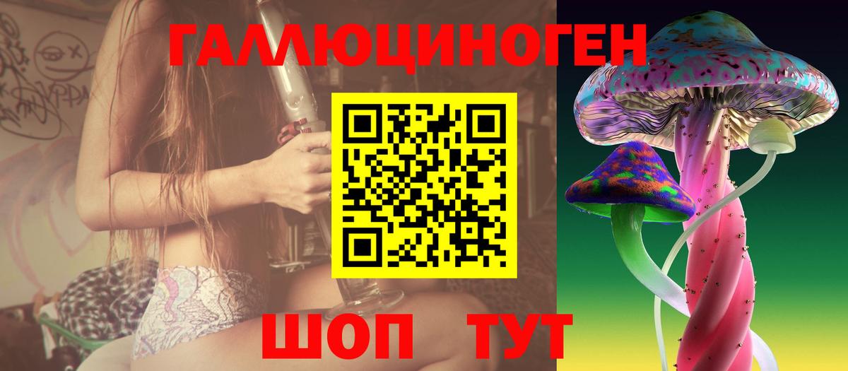 Псилоцибиновые грибы GOLDEN TEACHER  Вход с VPN  Галлюциногенные грибы MAGIC MUSHROOMS  Гусь-Хрустальный 